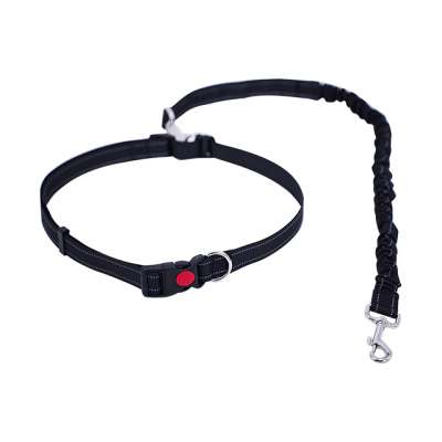 Free Sample Wholesale Retractable Luxury Nylon Waterproof Strong High Quality Pet Dog Leash And Collar